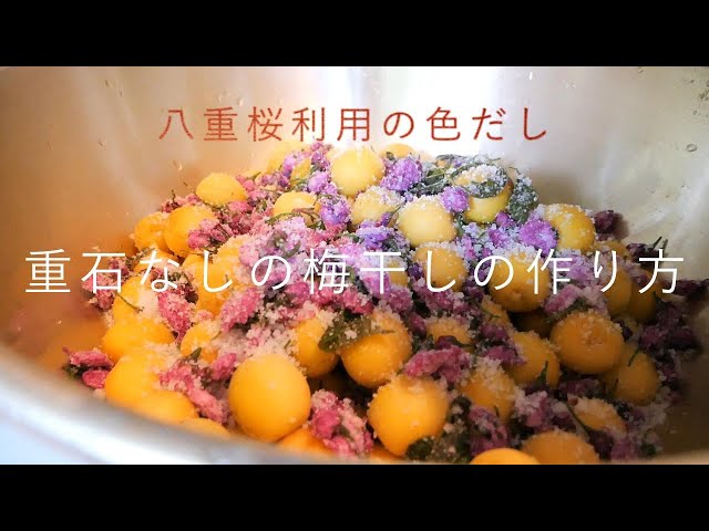 Grandma's Umeboshi Making] Easy Umeboshi Made Without Weights