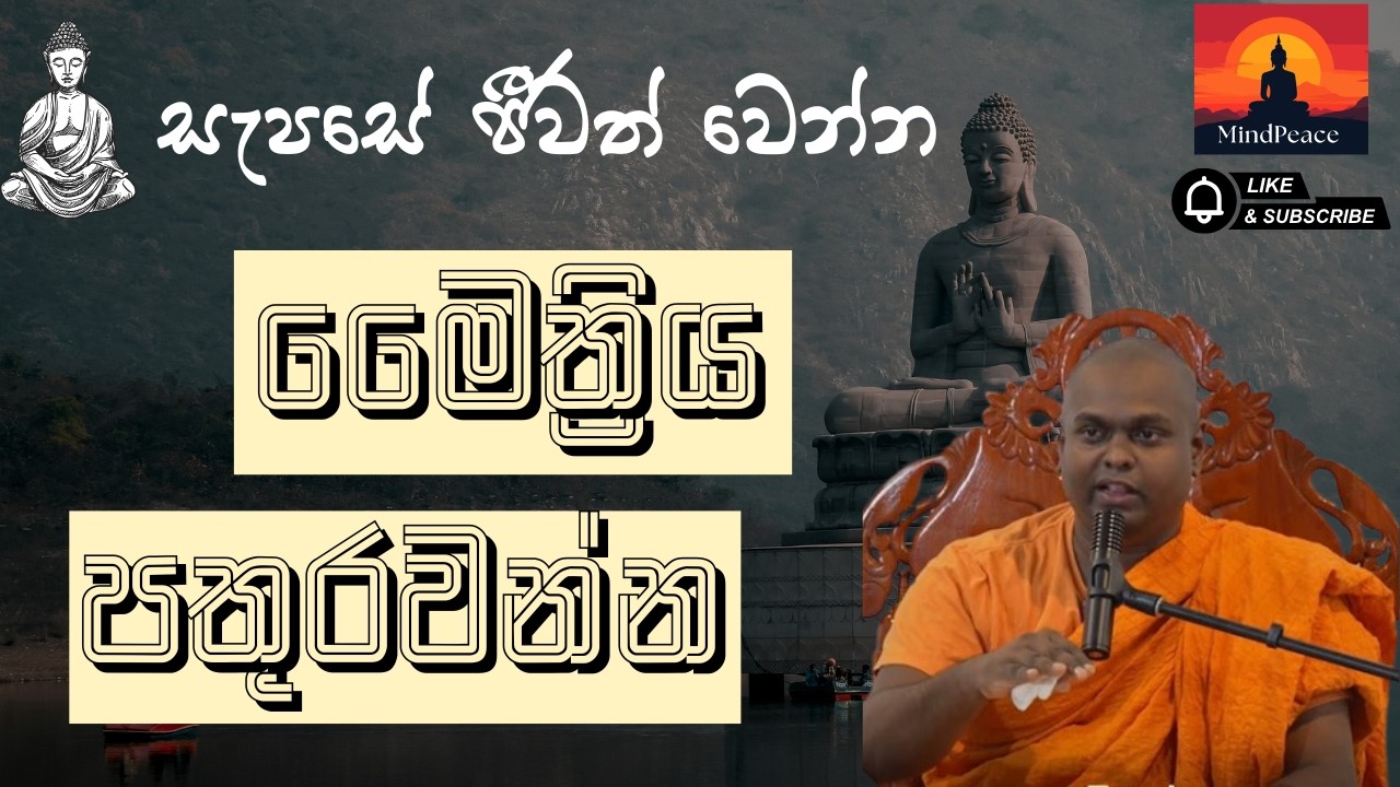 සැපසේ ජීවත් වෙන්න මෛත්‍රිය පතුරවන්න 💛🙏