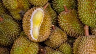 Health Benefits Of Durian Fruit