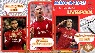 TIN LIVERPOOL 14/10: RYAN CHẤN THƯƠNG TRƯỚC ĐẠI CHIẾN MU, VAN DIJK XUẤT SẮC NHẤT, MILAN MUỐN GOMEZ