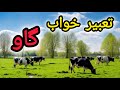 تعبیر خواب گاو دیدگاه ابن سیرین امام صادق ع و روانشناسی