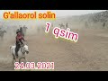 G'allaorol solin kopkari uloq 1qsim 24.03.2021