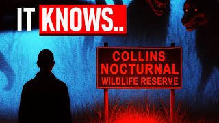 I Got a Job as a Night Zookeeper… There Are STRANGE RULES to Follow