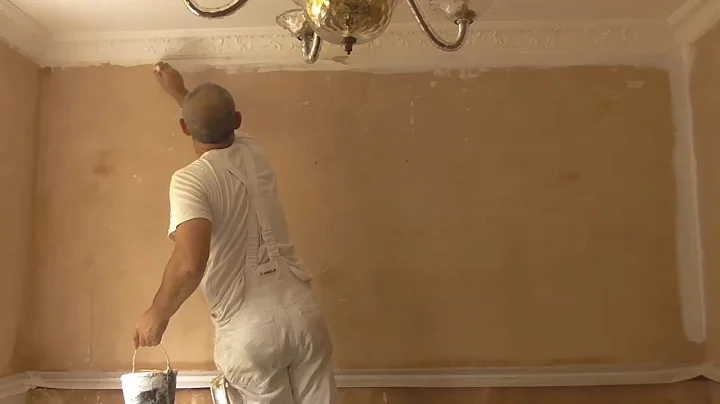 MIST COAT ON NEW PLASTER  What is a ....? Why a ....? How to ....?