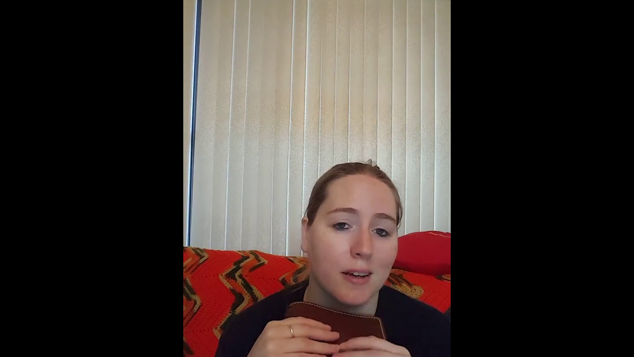 Chic Sparrow Dr. Jones B6 Regular Traveler's Notebook