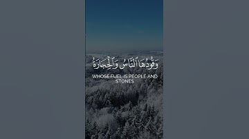 ياسر الدوسري | يا أيها الذين آمنوا قوا أنفسكم وأهليكم نارا | سورة التحريم