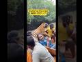 Tiger Appears on the River — Total Panic on the Boat
