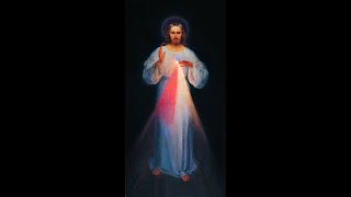 Vatican 2: Lumen Gentium (Audiobook)