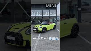 Weisz Fanni Edition - Mini Jcw Cabrio