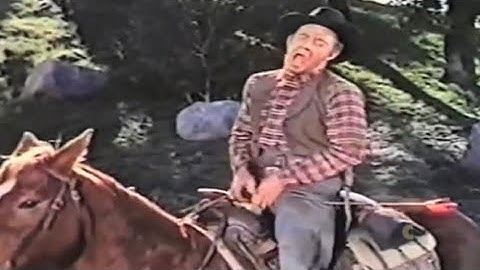 Wilhelm Screams in Movies, Tv Show and Video Games Updated