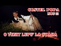 OFFICIAL CLIP Nou 2019 !!! COSTEL POPA - O VENIT LUPU' LA STANA (Jiana Marginimea Sibiului)