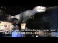 ジャン君　富山のお気に入り（富山市科学博物館） の動画、YouTube動画。