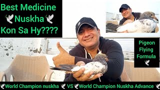 KON SA NUSKHA BEST HY  | world champion nuskha | VS | world Champion nuskha Advance | for pigeon