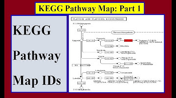 How to get the Kegg IDs for KEGG Pathway Map