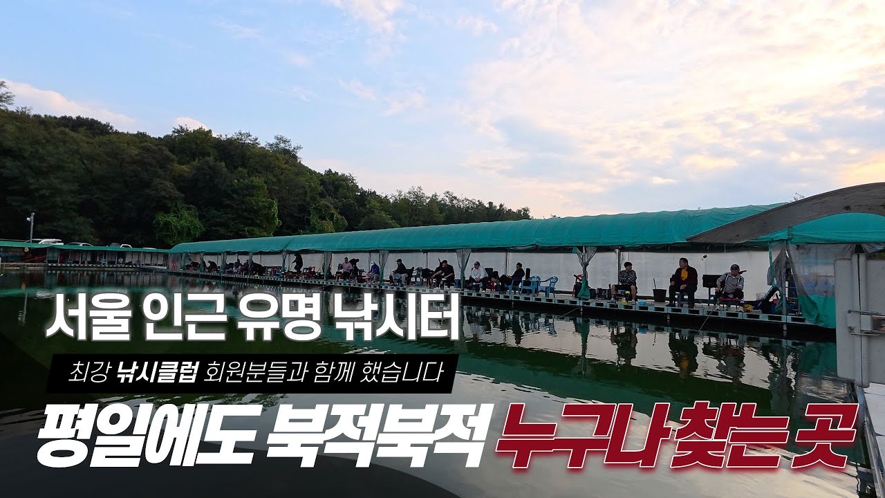 최강 낚시 클럽 회장님과 서울인근 가장 유명한 낚시터에서 즐거운낚시-경기 하남 배다리낚시터(2025.10.31) 즐낚TV