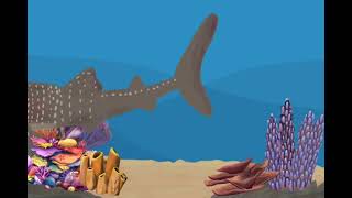 Whale Shark Feeding And Dont See The Short Because I Forgot To Put A Name To The Video