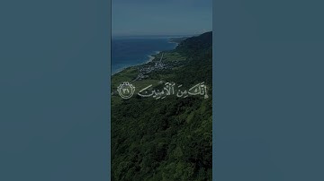سورة القصص|Yasser Dossary|Surat Al-Qasas   #اكسبلور #قران #quran