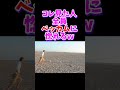 コレ見た人全員ベッカムに惚れる間違いないw #shorts