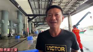 東海岸第1尾黑鮪魚進港  船長鄭正愛連3年搶頭香