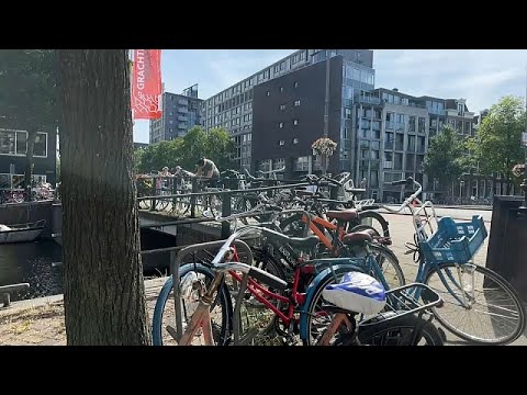 Амстердам: шесть недель без авто устроили не всех