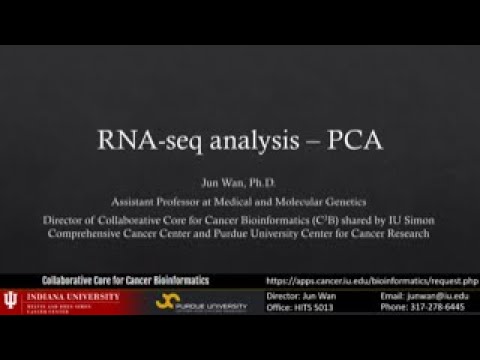 Video: PcaExplorer: Ein R / Bioconductor-Paket Zur Interaktion Mit RNA-seq-Hauptkomponenten