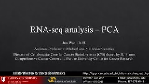 B4B: Module 2 - RNAseq output PCA