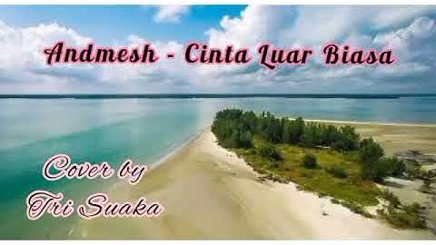 Cover Andmesh - Cinta Luar Biasa by Tri Suaka