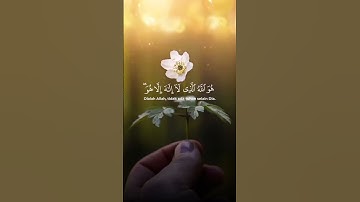 راحة نفسية 💚.. أجمل حالات واتس اب قران كريم قصيرة لراحة قلبك ستوريات انستا مقاطع قرآن حمزة أبو ديب