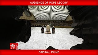 Audience, May 24, 2025 – Pope Leo XIV