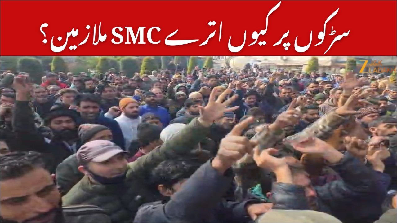 SMC Employees Protest : SMC Employees Protest in Srinagar Over Three-Month Salary Delay | ZEE JKL