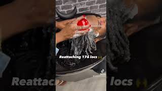 176 Natural LOCS reattached