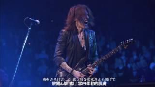 LUNA SEA 銀ノ月 (中日字幕)