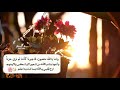 اجمل حالات واتس آب2020 معبرة حالات واتس آب هادئة مع موسيقى حزينة هادئة وجميلة خواطر راقية اجمل حالات واتس آب2020 معبرة حالات واتس آب هادئة مع موسيقى حزينة هادئة وجميلة خواطر راقية