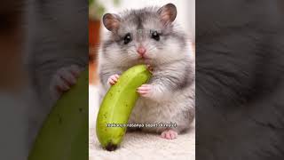 Kenapa pisang cepat mateng? Dan kenapa pisang mentah rasanya sepet? #why#education