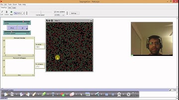 Micro Motives = Macro Behavior ?