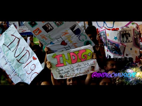 Video: Mis On Indigo