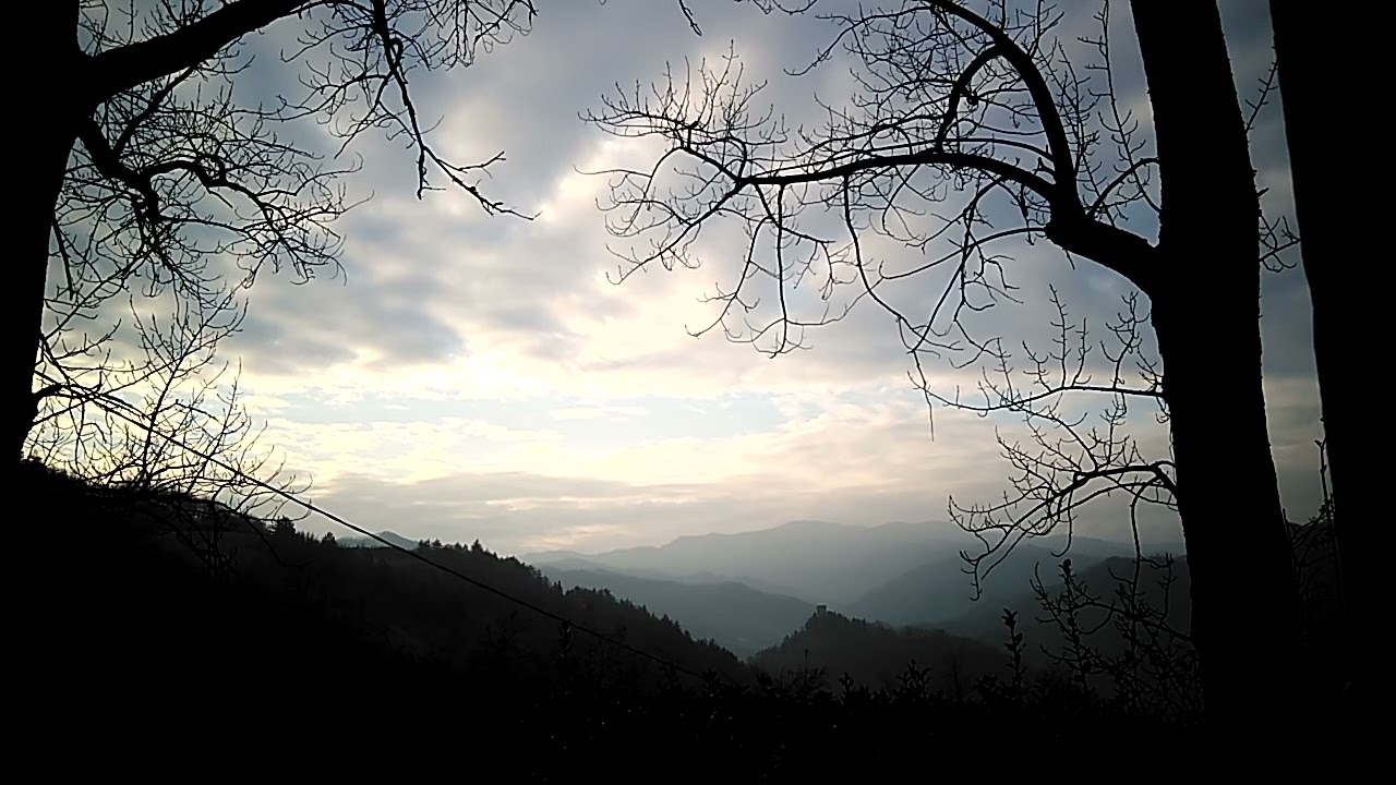 Vivere senza Teorie ed Ideali - Jiddu Krishnamurti - Il Volo dell'Aquila 