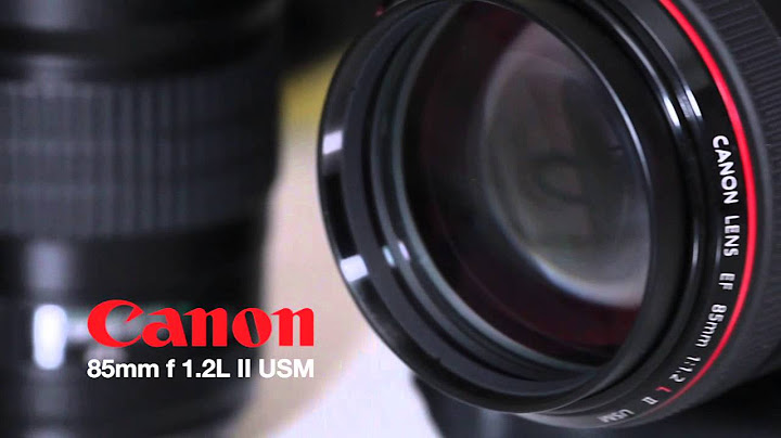 Canon 85mm 1.2 L Series Lens - Review and Sample photos