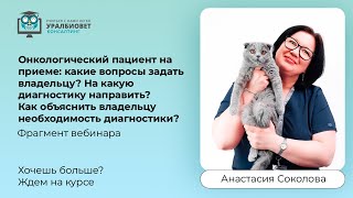 Фрагмент вебинара "Онкологический пациент на приеме" с Анастасией Соколовой