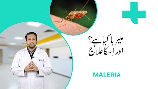What is Malaria? Symptoms, causes and treatment! A complete guide by tibbi! screenshot 3