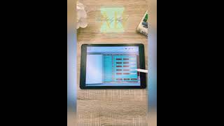 Quick Flip Through of the Daily Life Planner