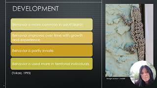 Behavioral Observation Analysis of Ornate Tree Lizards