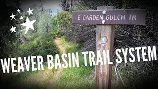WEAVER BASIN TRAIL SYSTEM SAMPLER || Weaverville, CA