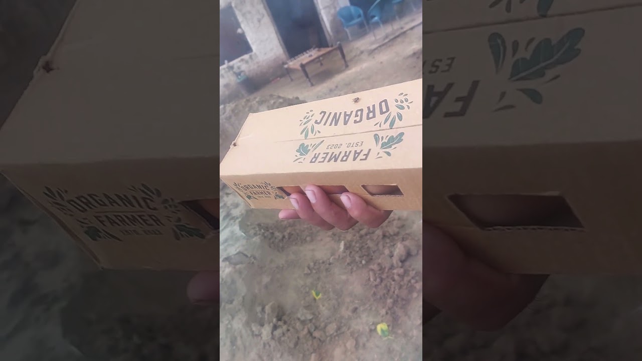 Omega 3 Eggs Packaging || AL-QAIM ORGANIC FARMS LAHORE