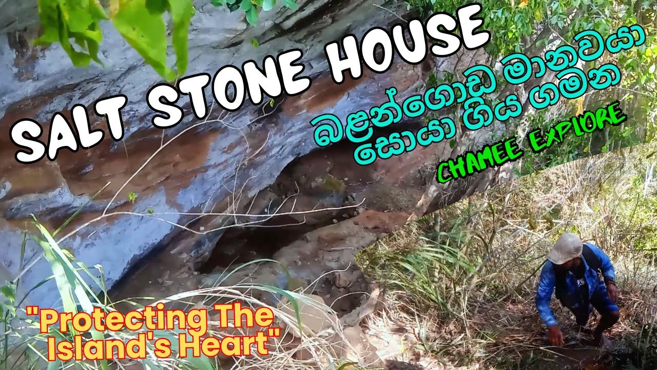 The journey in search of the Balangoda man🙁🐆😀#ChameeExplore #BalangodaMan #SriLanka#AncientHistory