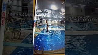 403B 1 Meter - Charlotte Martinkus