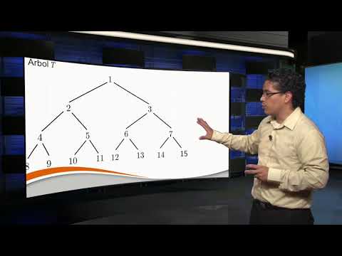 Vídeo: Diferencia Entre árbol Binario Completo Y árbol Binario Completo