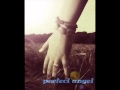 Perfect Angel - Cataclysmic