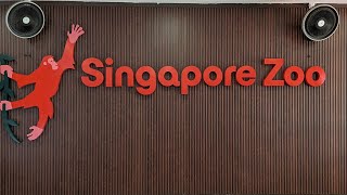 Exploring ALL of Mandai Wildlife Reserve 🇸🇬 ! #singapore #mandaiwildlifereserve #shorts #family 