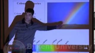 Language, Learning and Color Perception